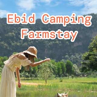 Ebid Camping Farmstay ที่่พักเพชรบุรีน้องหมาพักได้