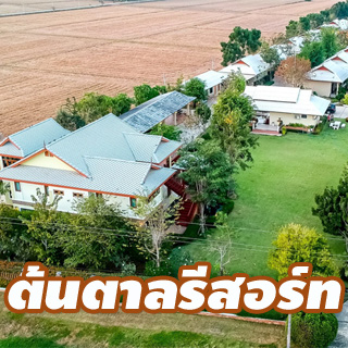 ต้นตาลรีสอร์ท น้องหมาพักได้ ใกล้ชะอำ