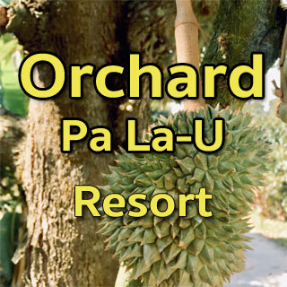 Orchard Pa La-U ออชาร์ดป่าละอูน้องหมาพักได้