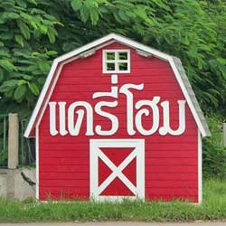 ร้านอาหาร แดรี่โฮม น้องหมาเข้าได้