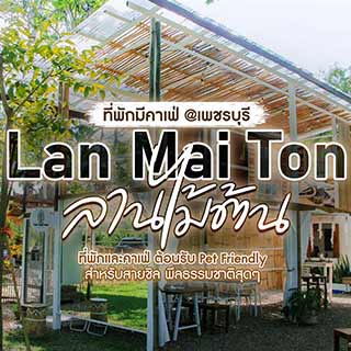 ลานไม้ต้น ที่พักเพชรบุรีน้องหมาพักได้