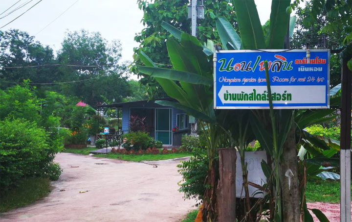 น้องหมาพักได้ทางชึ้นเขาใหญ่ปราจีน