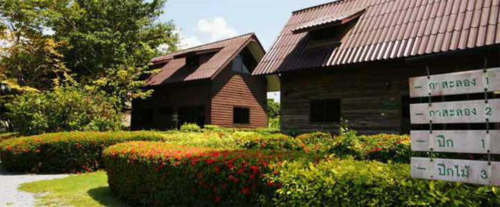 พาหมาเที่ยว หมาพักได้ที่โฮมแอนด์ฮิลล์รีสอร์ท นครนายก