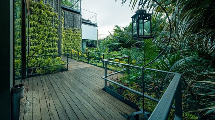 บางกอกทรีเฮาส์ ที่พักสุด chic อิงธรรมชาติที่น้องหมาพักได้