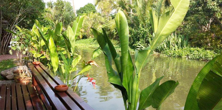 พาน้องหมาเที่ยวอัมพวาพักที่บ้านสวนลีลาวดี อัมพวา