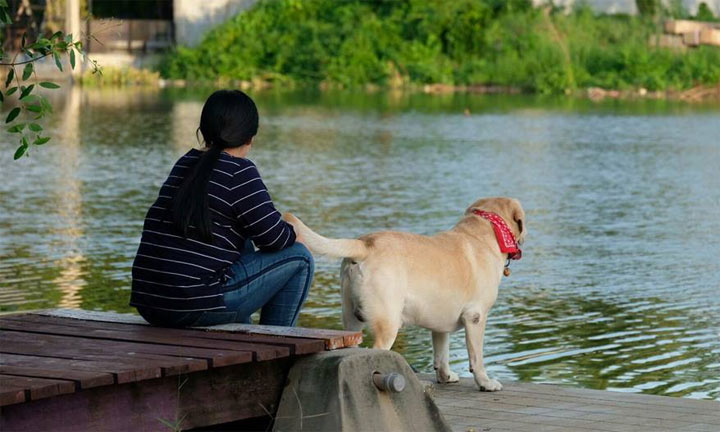 ที่พักอัมพวาน้องหมาพักได้ เนเจอร์กรีน