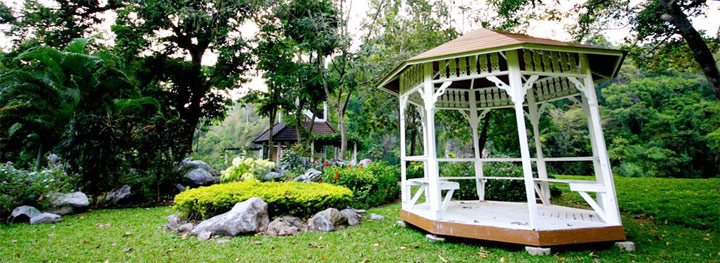 พาน้องหมาเที่ยว หมาพักได้ที่ศุภาลัย ป่าสัก รีสอร์ท แอนด์ สปา