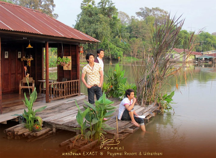 พาหมาเที่ยว หมาพักได้ที่พญาไม้รีสอร์ท เกาะเทโพ อุทัยธานี