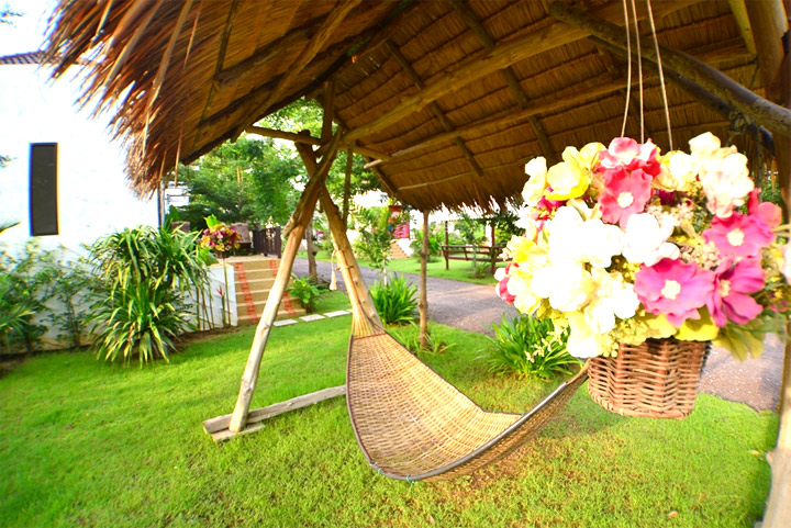 พาน้องหมาเที่ยว น้องหมาพักได้ที่ปราณบุรี คาบาน่า รีสอร์ท