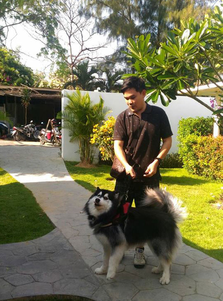หมาใหญ่พักได้หัวหิน