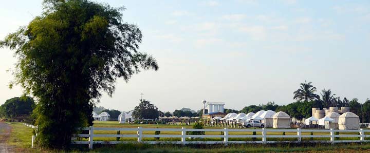 The Camping Field เดอะแคมป์ปิ้งฟีลด์ สวนผึ้งน้องหมาพักได้