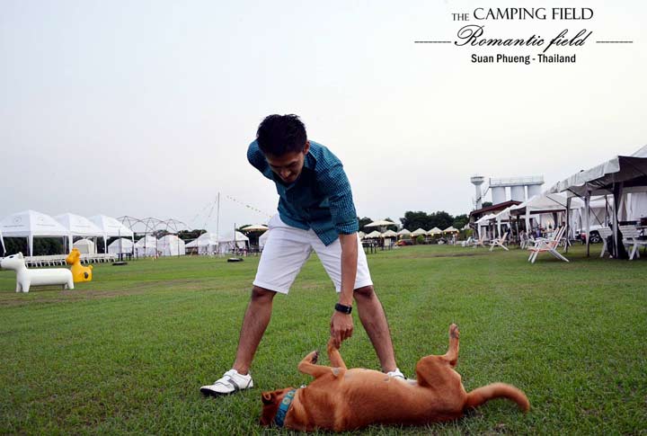 The Camping Field เดอะแคมป์ปิ้งฟีลด์ สวนผึ้งน้องหมาพักได้