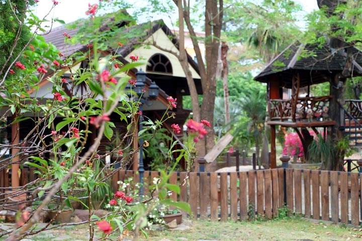 Wood Night Houseน้องหมาพักได้เชียงใหม่