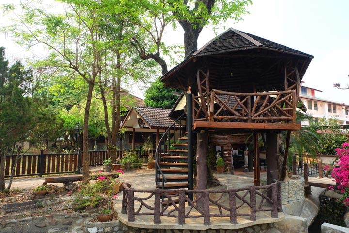 Wood Night Houseน้องหมาพักได้เชียงใหม่