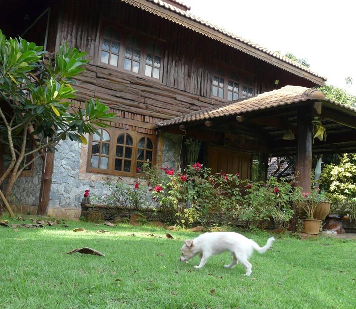 Wood Night Houseน้องหมาพักได้เชียงใหม่