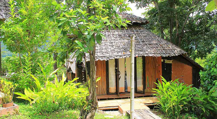 บ้านปายนา ปายตา น้องหมาพักได้
