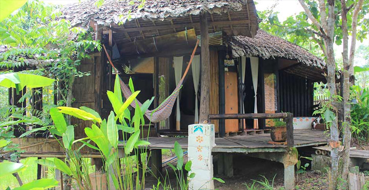 บ้านปายนา ปายตา น้องหมาพักได้