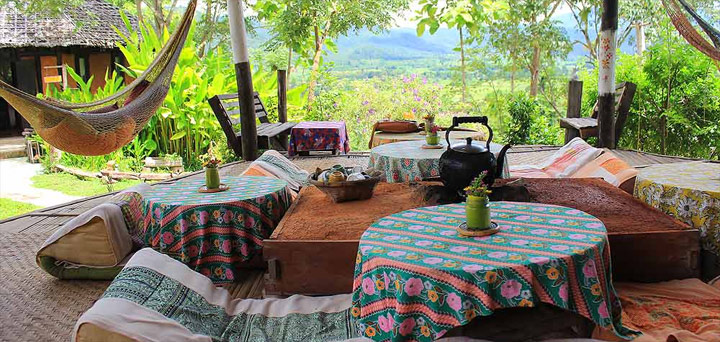 บ้านปายนา ปายตา น้องหมาพักได้