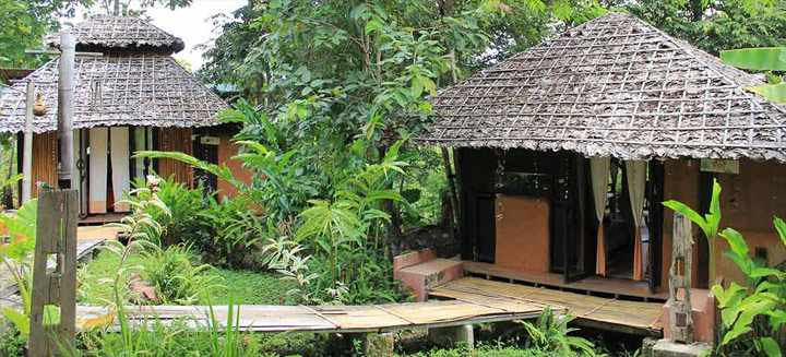 บ้านปายนา ปายตา น้องหมาพักได้