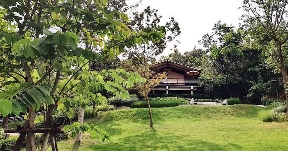 ที่พักเขาใหญ่หมาใหญ่พักได้