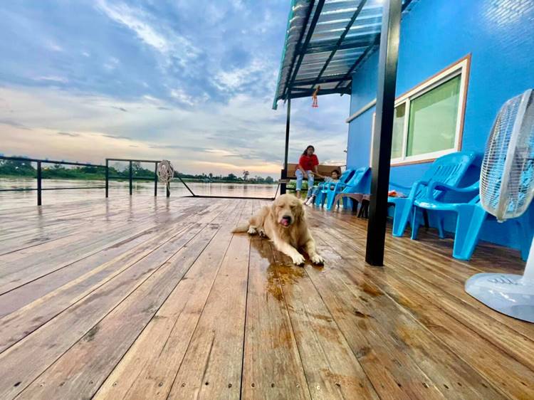 ที่พักอ่างทางหมาพักได้