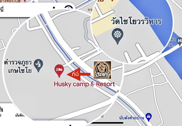 ที่พักอ่างทองน้องหมาพักได้