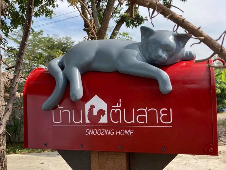 ที่พักอยุธยาน้องหมาพักได้