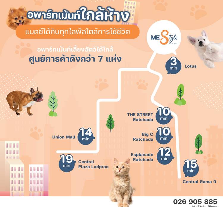 ที่พักโซนห้วยขวางกรุงเทพน้องหมาพักได้