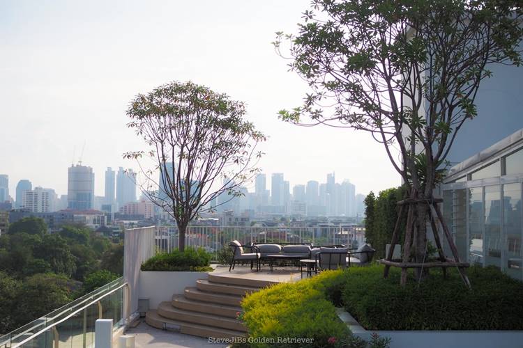 โรงแรมโซนสาทรน้องหมาพักได้