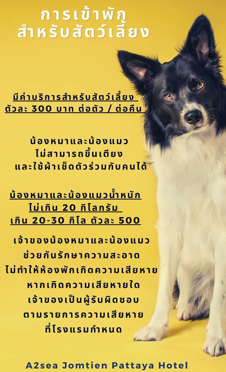 ที่พักหาดจอมเทียนหมาพักได้