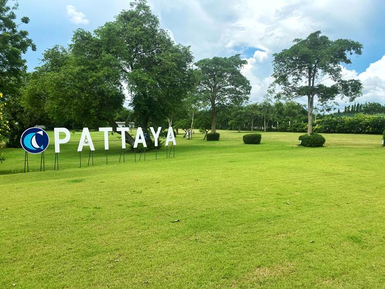 ที่พักติดทะเลพัทยา-บางละมุงหมาพักได้