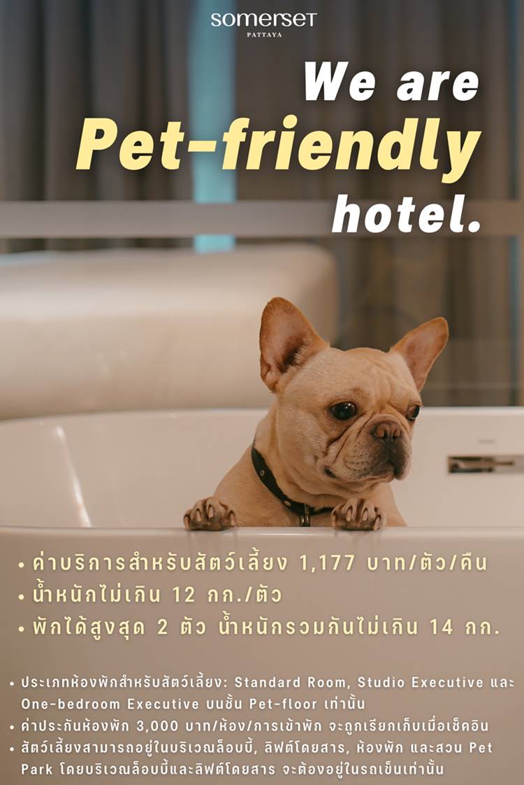 พัทยาน้องหมาพักได้