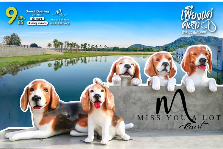 ที่พักบางเสร่,สัตหีบหมาใหญ่พักได้