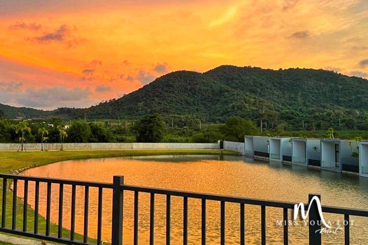 ที่พักบางเสร่,สัตหีบหมาใหญ่พักได้