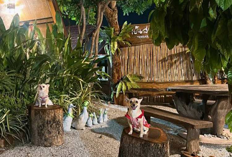 ที่พักสัตหีบหมาพักได้