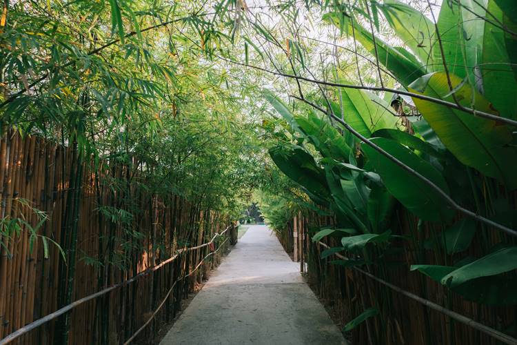 ที่พักโซนบางแสนน้องหมาพักได้