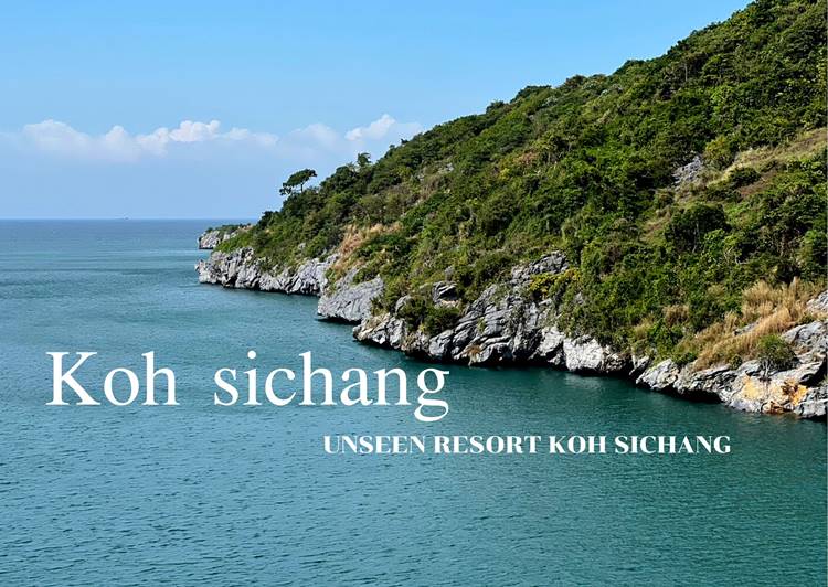 ที่พักเกาะสีชังหมาพักได้