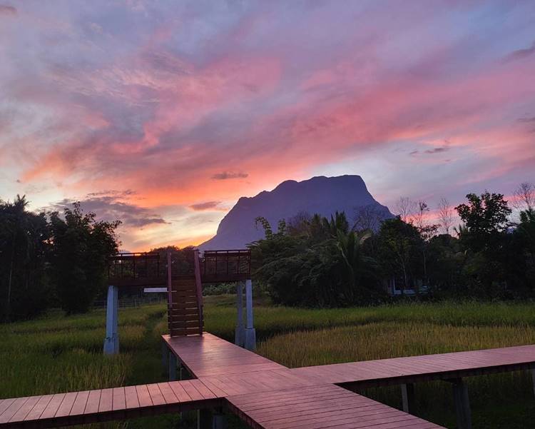 ที่พักเชียงดาวน้องหมาพักได้