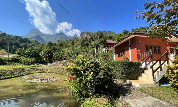 ที่พักในเชียงดาวน้องหมาพักได้