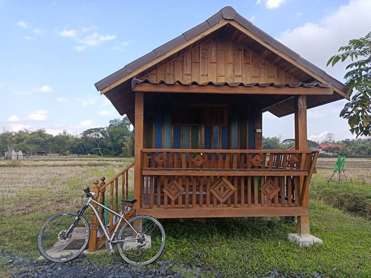 ที่พักแม่ริมเชียงใหม่หมาพักได้