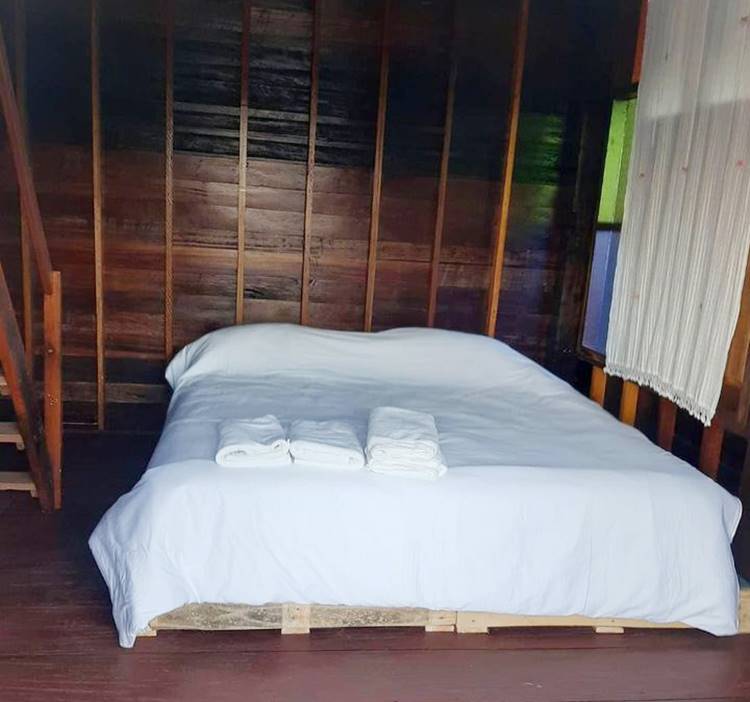 ที่พักเชียงใหม่น้องหมาพักได้