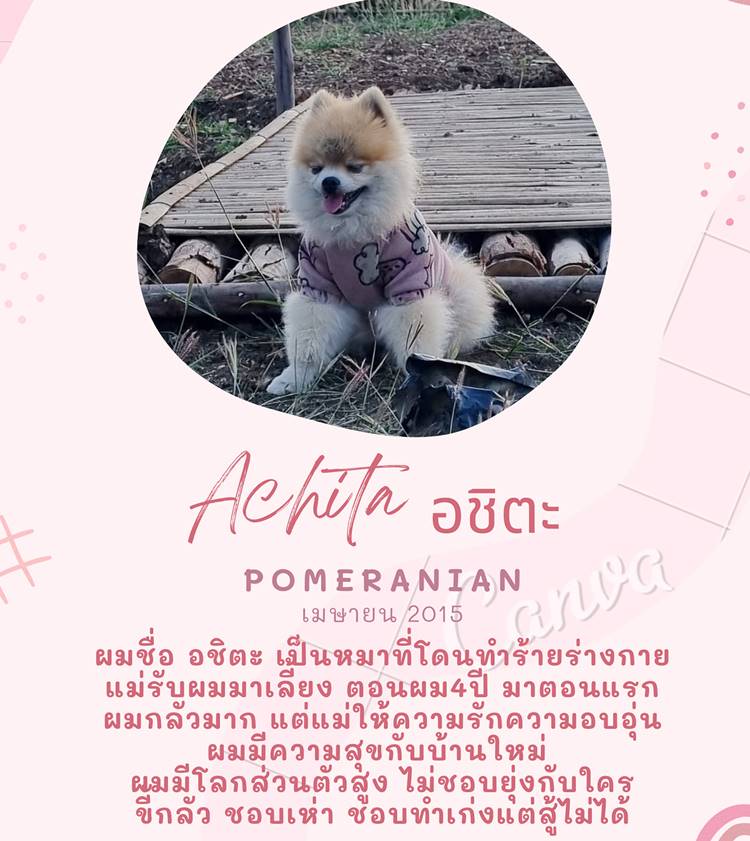 ที่พักใกล้เขื่อนแม่ออนเชียงใหม่หมาพักได้