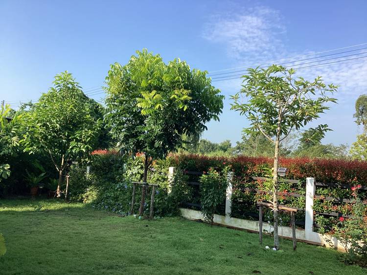 ที่พักเชียงใหม่โซนนอกเมืองหมาพักได้