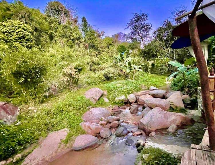 ที่พักแม่ออนน้องหมาพักได้