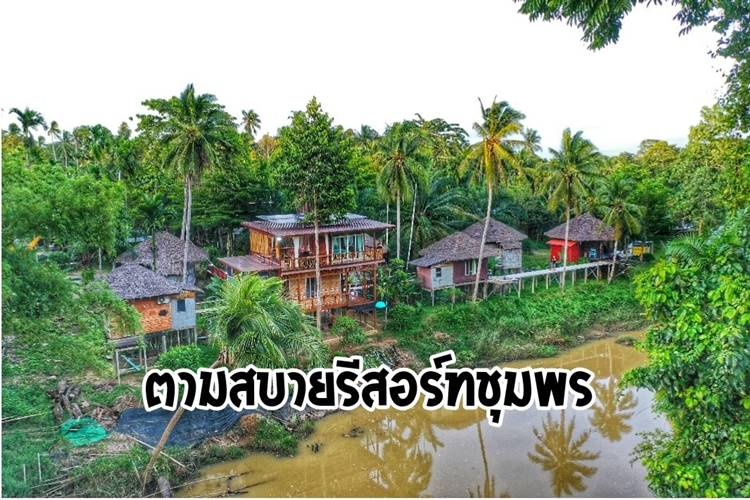 ที่พักชุมพรน้องหมาพักได้