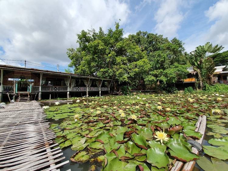 ที่พักกลางเมืองเชียงรายหมาพักได้