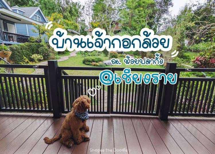 ที่พักใกล้เมืองเชียงรายน้องหมาพักได้