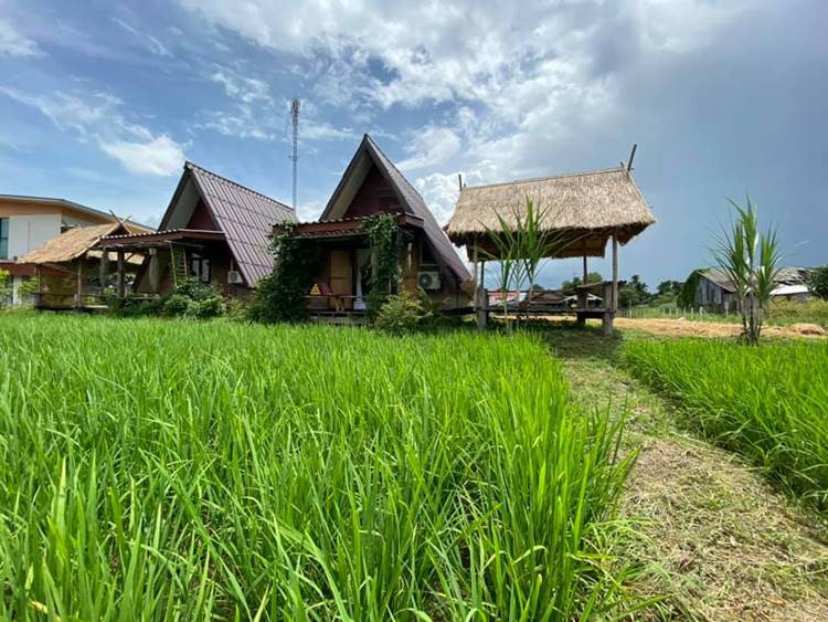 ที่พักเชียงรายน้องหมาพักได้