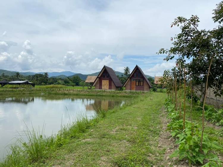 ที่พักเชียงรายน้องหมาพักได้