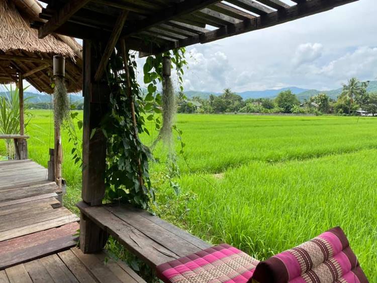 ที่พักเชียงรายน้องหมาพักได้